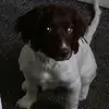 JakeCrosby - @jakecrosby13 - TikTok