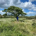 Jake Curran - @jakecurran72 - Instagram