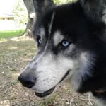 Jake Daigle - @jakedaigle594 - Instagram
