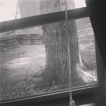 jakedaigle - @jakedaigle449 - Instagram