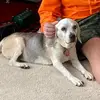 Jake Dailey - @jakedailey2009 - TikTok