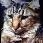 Jake D. - @jakeda_mon - Instagram