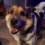Jake Damon Jacobs - @jakedamonjacobs - Instagram