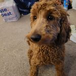 Jake Darling - @jakedarling_yt - Instagram