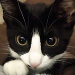 jake darling - @jake_darling14 - Instagram