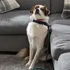Jake Darling - @jakedarling2 - TikTok
