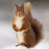 jakedarling102 - @jakedarling102 - TikTok