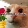Jake Davison - @jake.davison2 - TikTok