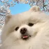 day567jake980 - @day567jake980 - TikTok