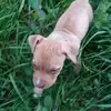Jake Day - @jake.day7 - TikTok