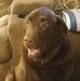 Jake Deason - Facebook