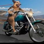 Jake Devries - @devries476 - Instagram
