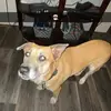 Jake Dodge - @jake_dodge7892 - TikTok