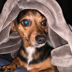 Jake Donahue - @jakedonahue3 - Instagram