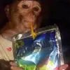 jake rosak - @dotypoojake - TikTok