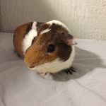 Jacob.c.dukes - @jake.c.dukes - Instagram