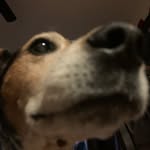 Jake Dukes 😱😱 - @pissingasmr - Instagram