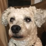 Jake Dunlap - @jake_dunlap35 - Instagram