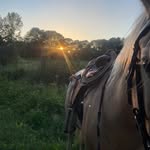 Jake Dutton - @jakedutton3 - Instagram