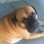 Jakeduval - @jakeduval2003 - Instagram