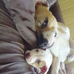 Jake - @jake_dyson - Instagram
