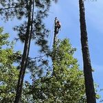 Jake Edenfield - @jake.edenfield23 - Instagram