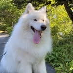 Jake Elder - @jelder805 - Instagram