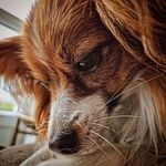 Jake Elias - @jakewelias - Instagram