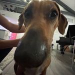 Jake Eller - @_jakler_music - Instagram