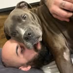 Jake Emery - @myliftingpawtner - Instagram