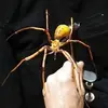 Jake Emery - @jake.emery0 - TikTok