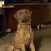 Jake Engel - @jake.engel8 - TikTok