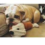 Jake Estrada - @jake__estrada_ - Instagram