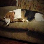 Jake Faust - @jakefaust3 - Instagram