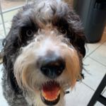 Jake - @jake.faust1 - Instagram