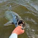 Capt. Jake Flood - @mangrove_anglers - Instagram