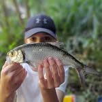 jake flood - @floodys_fishing12 - Instagram