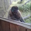 Jake Franks - @jake.franks28 - TikTok