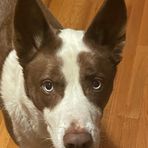 Jake Fred - Facebook