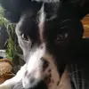 jake frederick - @jakefrederick123 - TikTok