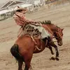 I don’t know why I’m here - @jakefreeman669 - TikTok