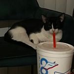 Jake Fried - @basilboii.1.1 - Instagram