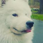 Jake Fullerton - @jakesfloof - Instagram