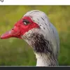 Jake - @jakefurrer49 - TikTok