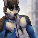 ❤jake the wolf❤ - @jake.furry1 - Instagram