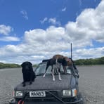 Jake Gale - Facebook