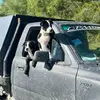 jakegale - @jake.gale - TikTok