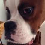 Jake Garrison - @jjjaaakkkeeegarrison15 - Instagram