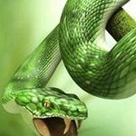 Jake Gary - @gary_jake - Instagram