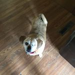 Jake - @jake_gellersen - Instagram